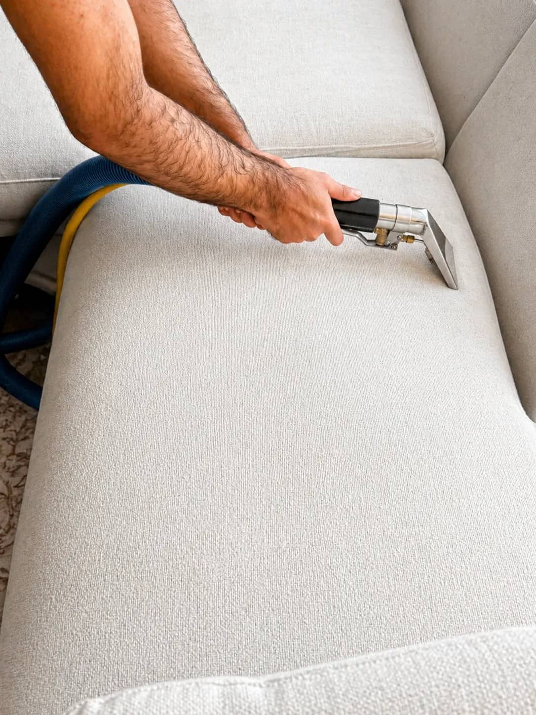 Professional upholstery cleaning on a sofa