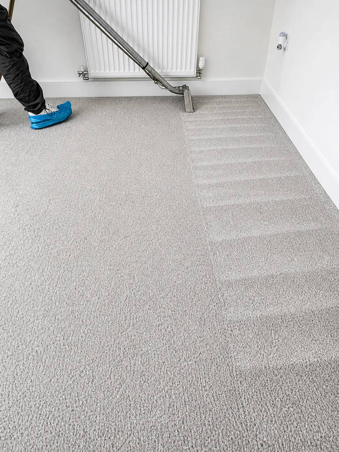 Professional carpet stain cleaning in progress